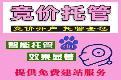 案例解读：SEM托管助力品牌提升